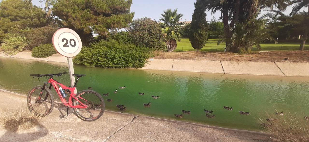 Descanso Golf * Villamartin (Valencia)