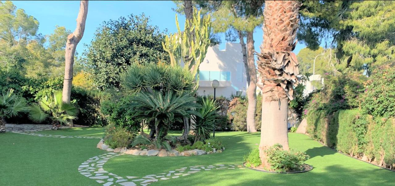 Descanso Golf * Villamartin (Valencia)