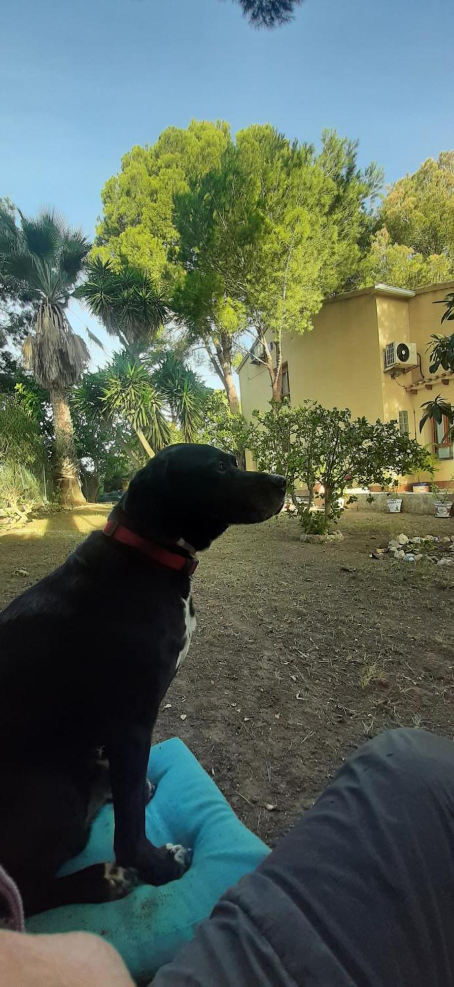Villa Descanso Golf *