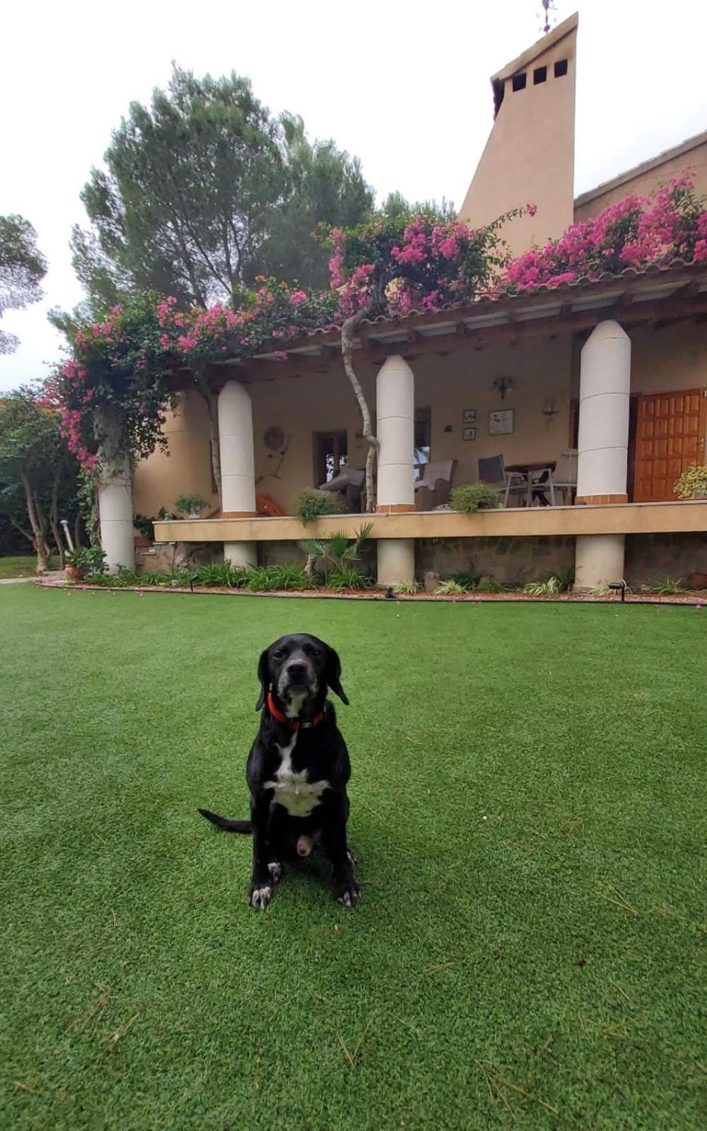 Descanso Golf Villamartin (Valencia)